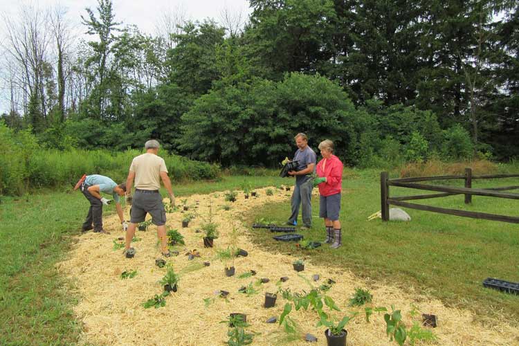 Volunteers work on plantings to create a habitat that attracts Monarch butterflies